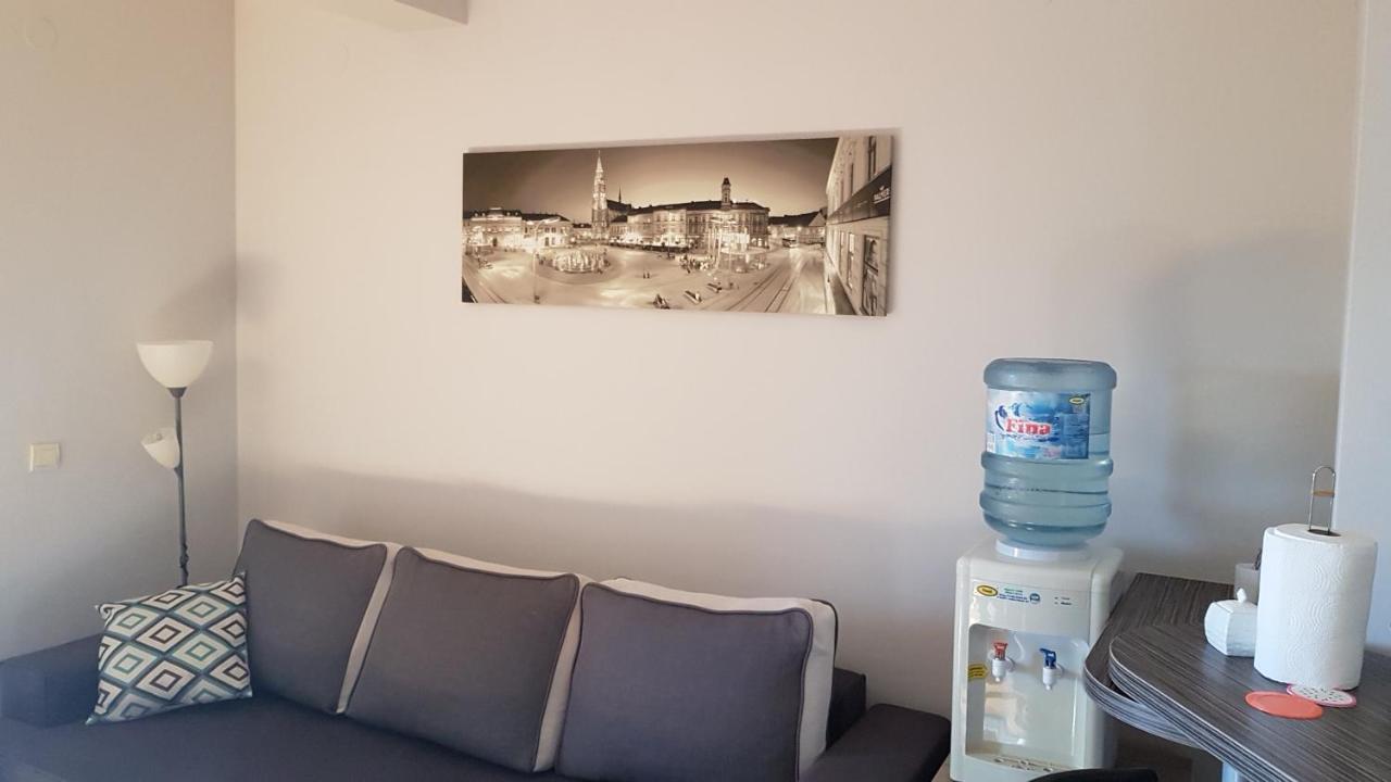 Apartment Viktor,Parking Осиек Экстерьер фото
